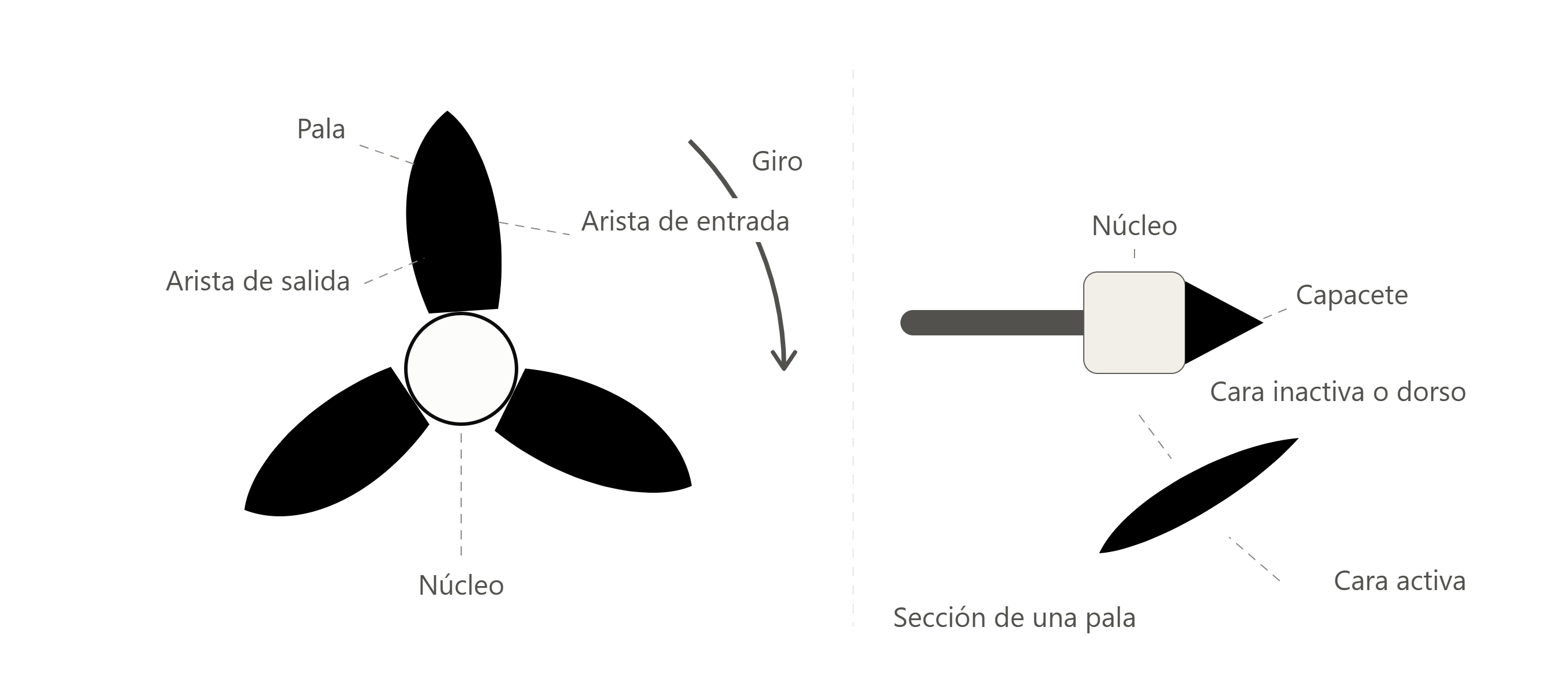 En una hélice dextrógira, ¿Qué pieza evita que entre agua por su cara de popapara evitar una avería en el eje?